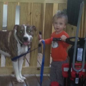 Meet your Posher, Anthony